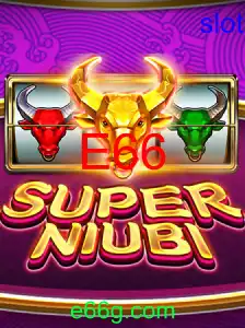 SuperNiubi